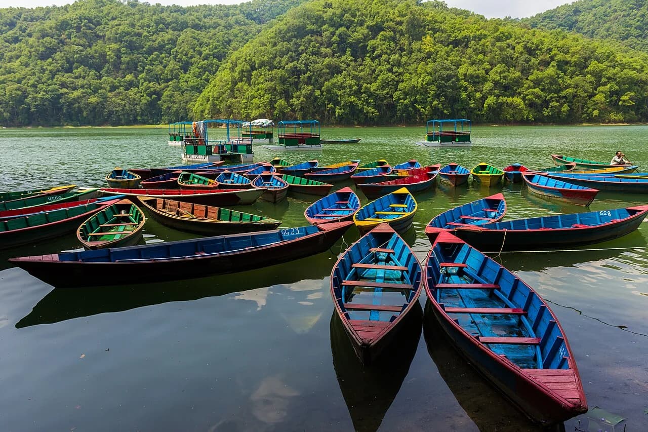 Colourful boats moored on Phewa Lake
