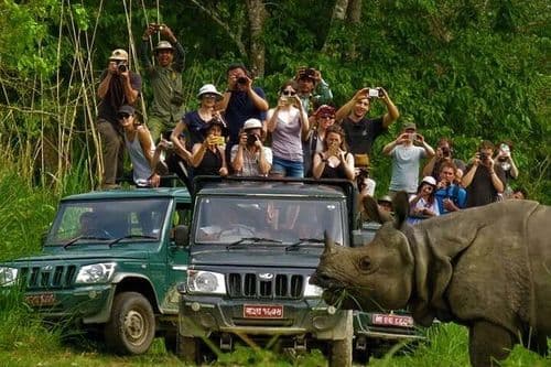 Visitors on a jeep safari in Chitwan