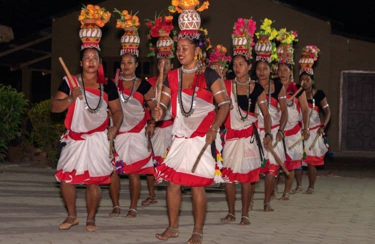 Tharu dancers performing in traditional dress in Chitwan